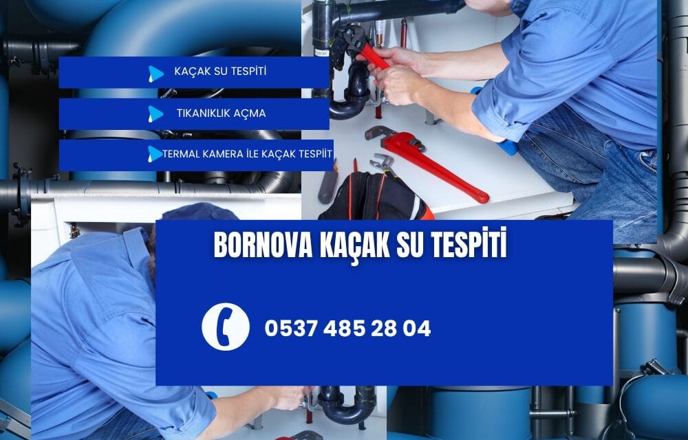 Bayraklı Kaçak Su Tespiti ve Tıkanıklık Açma